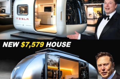 Elon Musk’s $7,579 Tiny House FINALLY HIT The Market!