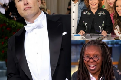 Elon Musk has called for a boycott of The View