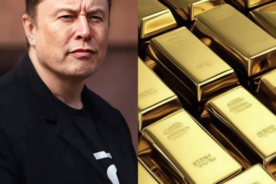 Elon Musk surprised everyone by hosting a livestream