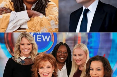 Elon Musk called for a boycott of The View