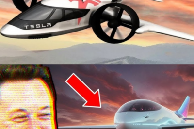 Elon Musk Just REVEALED The $500 Million SUPERSONIC Propeller
