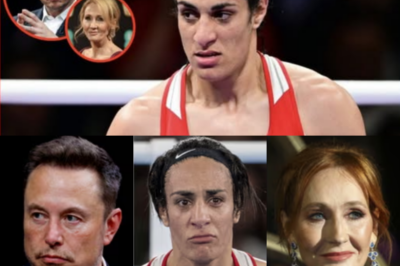 Elon Musk calls for boycott of male athletes competing
