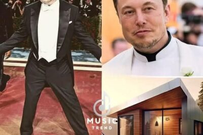 Elon Musk: The billionaire who chooses a $50,000 tiny house