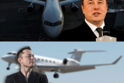 Elon Musk is rumored to be planning to build a private airport near Austin, Texas.