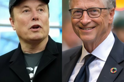 Bill Gates officially confronts Elon Musk