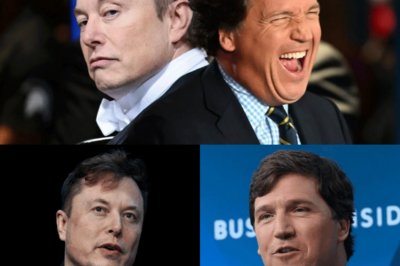 Elon Musk compra ABC