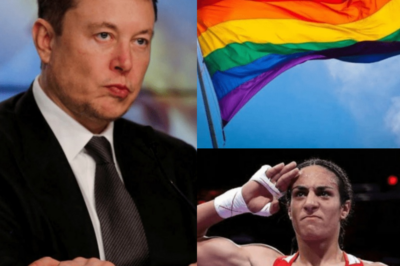 Elon Musk says pride flags should be banned