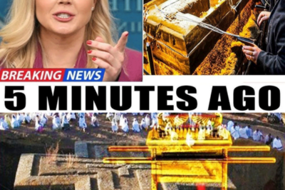 The Ark Of The Covenant Is Found! God’s Power Revealed…